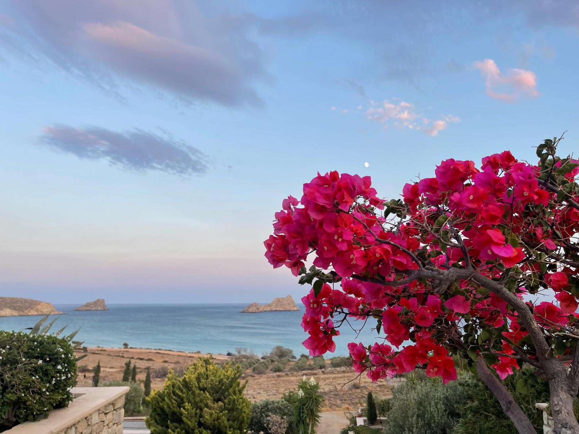 Natica Mare Villas Xerokampos  Eksteriør bilde