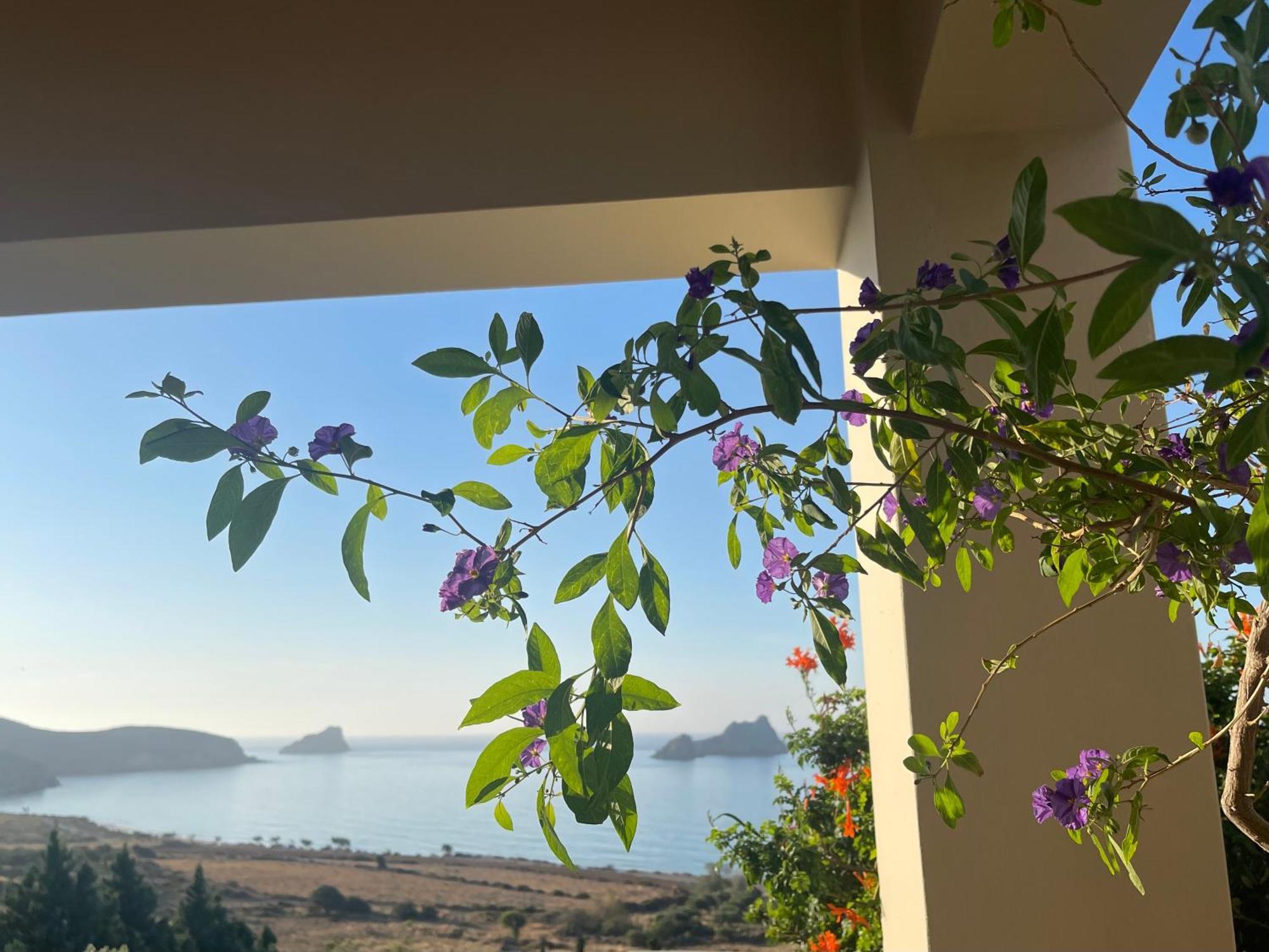 Natica Mare Villas Xerokampos  Eksteriør bilde