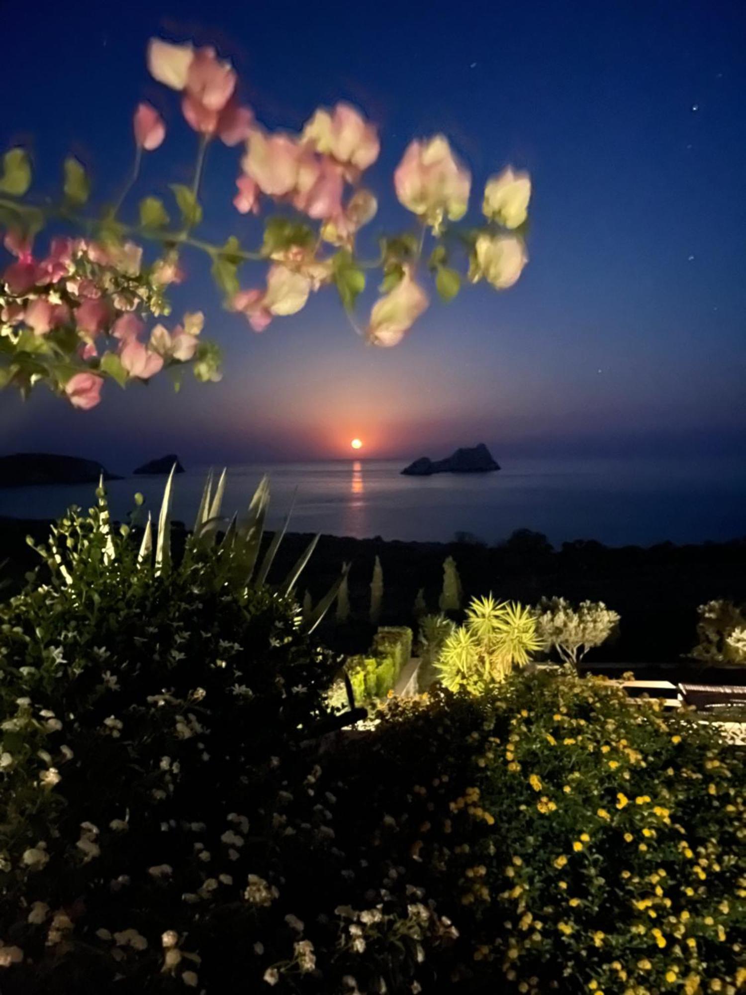 Natica Mare Villas Xerokampos  Eksteriør bilde